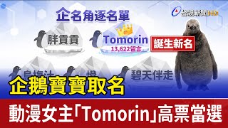 [MyGO] 台視新聞也在GO