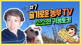 슬기로운 TV ep.7 말린 무화과 포장도 하고~우리집 강아지도 소개해드려요~