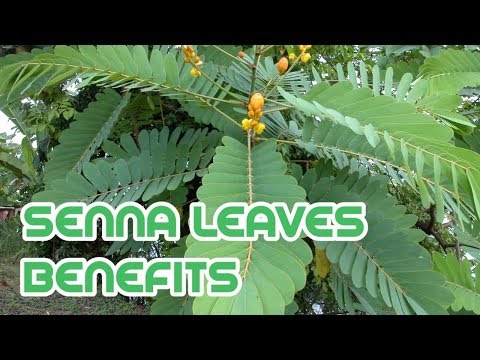 Important Vitamins and Minerals on Keto