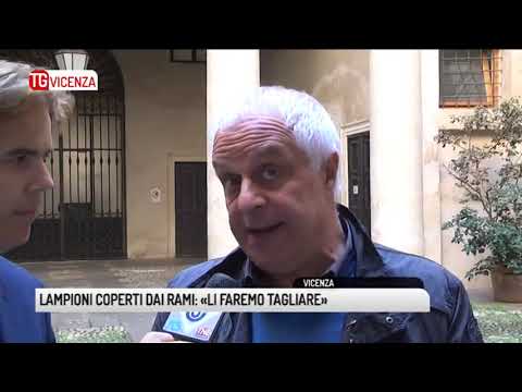 TG VICENZA (12/10/2018) - LAMPIONI COPERTI DAI RAMI: «LI FAREMO TAGLIARE»