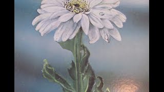 Judy Mayhan - Mythical Kings And Iguanas  [HD]