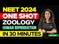 NEET 2024 One Shot Zoology Human Reproduction In 30 Minutes Xylem NEET