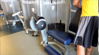 Leg Extension
