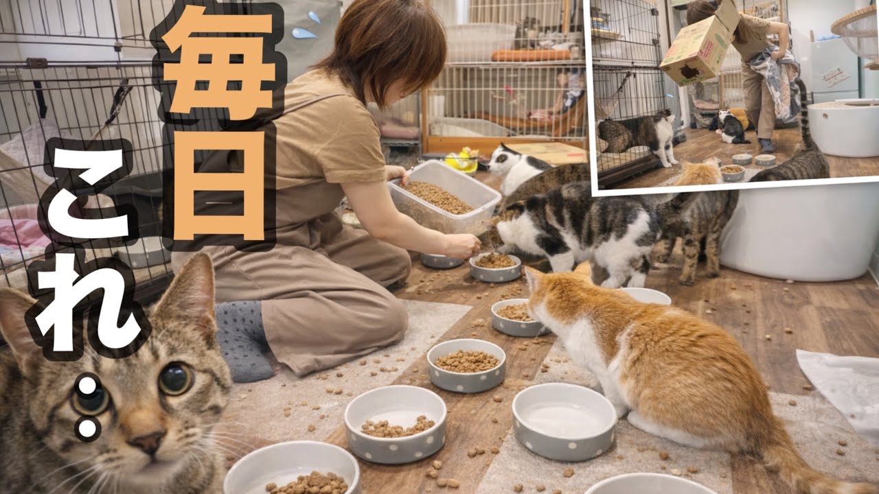 ママの多忙な1日に密着してみた…。