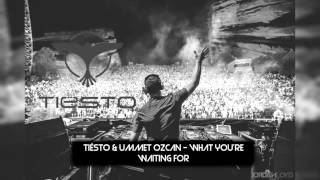 Tiësto & Ummet Ozcan - What You're Waiting