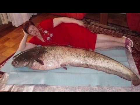 Fisherman's Waltz (Czech vocals) - Ernie Kucera Band