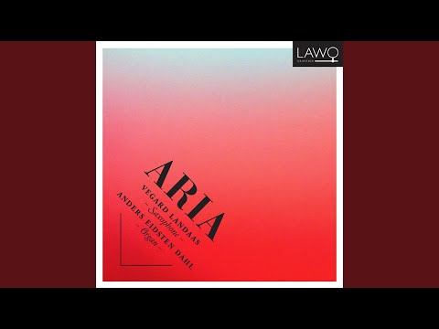 Concerto in D Minor: I. Andante e Spiccato