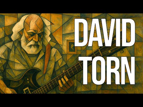 The challenges and successes of being David Torn in the modern music industry