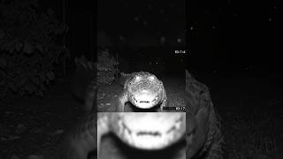 Download lagu Buaya Ini Ngapain ke Kamera Tengah Malam?! 😳💀 #funk #beats #edit #youtubeshorts #fypage mp3