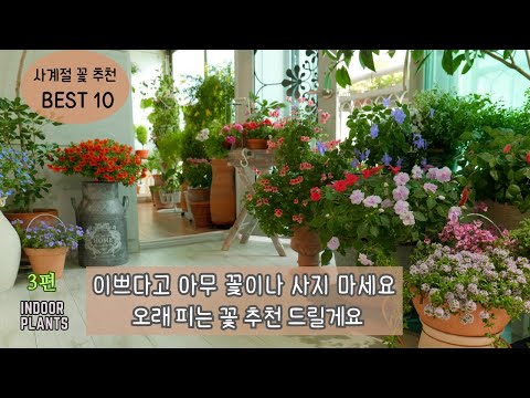 10가지 신기한 식물들, 당신의 정원에도 키워보세요!