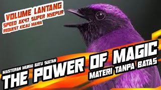 Download lagu MENJERIT OF MAGIC!!! volume lantang speed AK47 super nyepur || masteran murai batu tanpa batas mp3