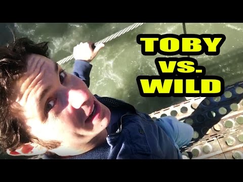 TOBY vs. WILD Video