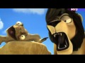 LEON Error Of The Savannah 03 Avi 1