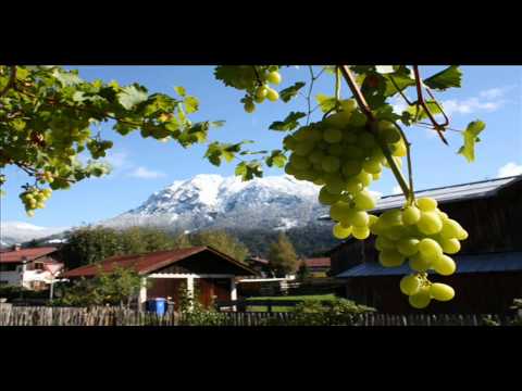 - Weinglasl boarischer- Konrad Gruber