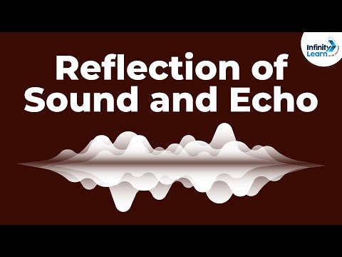 Reflection of Sound and Echo | Don't Memorise