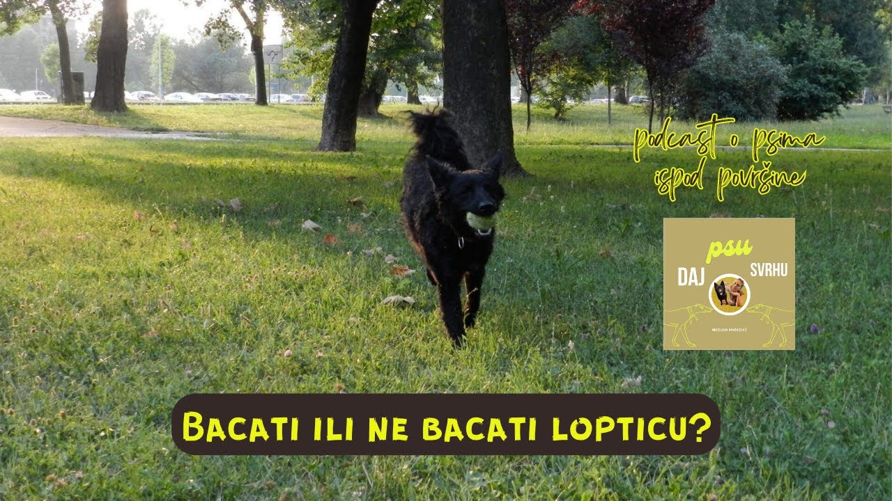 Daj psu svrhu Ep 4. Bacati ili ne bacati lopticu svom psu?