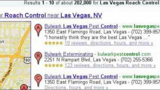 Las Vegas Pest Control Problem? How do You get rid of Las Vegas Bugs?