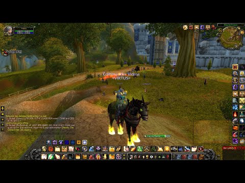 The Undying Holy Paladin | Epic Come Back BG | WOTLK Warmane Icecrown