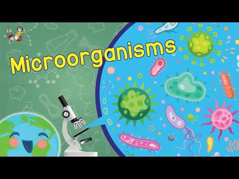 Microorganisms - What are Microorganisms? (Learning Videos For Kids)
