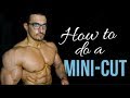 How to MINI CUT! | Gain Muscle & Stay Lean