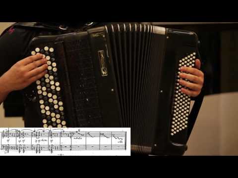 Victor Vlasov: Land of the Gulag Archipelago - Dario Glavaš, harmonika / Bistrički ZVUKOLIK 2015.