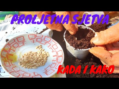 PROLJETNA SJETVA - SAVJETI ZA USPJEŠAN UZGOJ