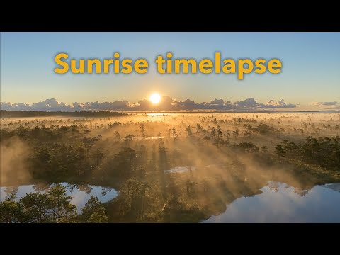 Early Morning Miracle