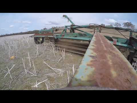 COGGO Snails video SCF July 2020 v3