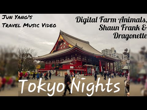 (Tokyo & Mt. Fuji) : Tokyo Nights - Digital Farm Animals,  Shaun Frank & Dragonette