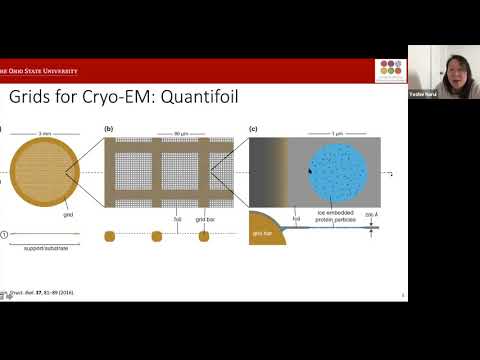The Resolution Revolution: An Inside Look at Cryo-Electron Microscopy