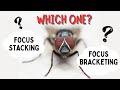 Focus stacking or focus bracketing?