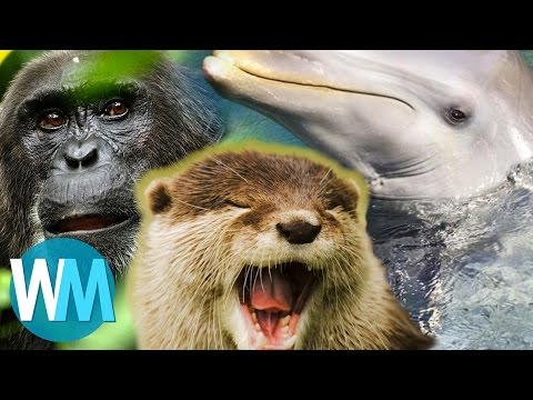 Top 10 Things BBC’s Planet Earth Taught Us