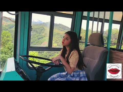 Here's Your Perfect -Jamie Miller (cover by Amberly Maidon)