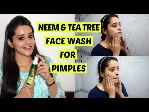 Ayurvedic facewash khadi neem and tea tree face wash, 200ml