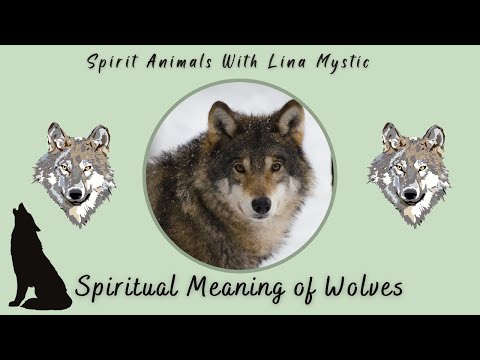 Why You Keep Seeing The Wolf Spirit Animal | Wolf Spiritual Symbolism | Wolf Spirit Animal
