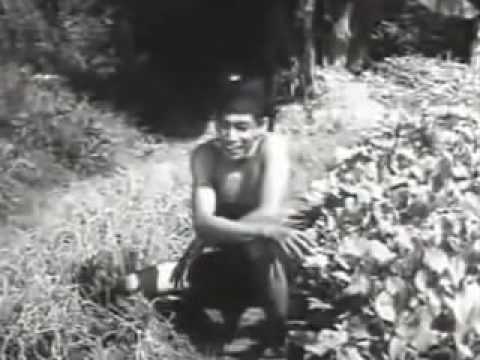 01 Bawang Putih Bawang Merah 1959