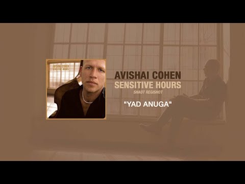 Avishai Cohen - Yad Anuga (Audio)