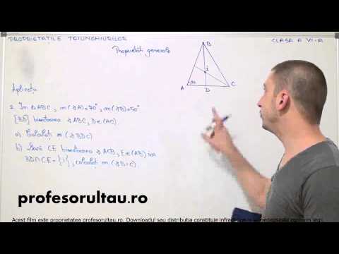 probleme cu proprietatile triunghiurilor - profesorultau.ro