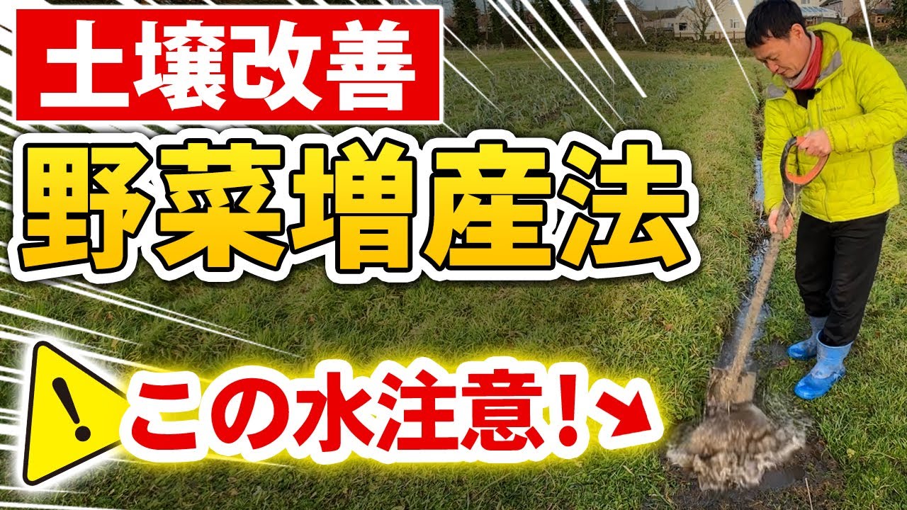 冬の水抜きと床堆肥で土を育てる技術