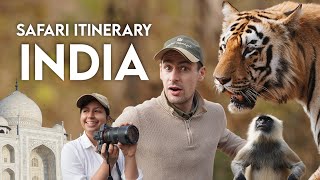 India Tiger Safari: 16-Day Itinerary (Plan Your Trip ↓)