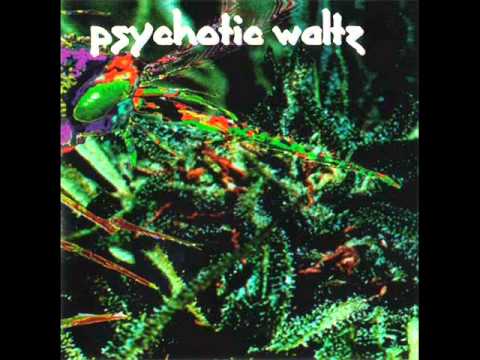 PSYCHOTIC WALTZ -Mosquito(Full Album)
