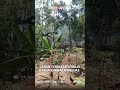 Home 20 Video thumbnail