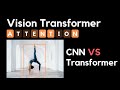 Vision Transformers : Les transformers pour l'analyse d'image