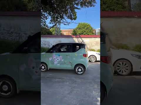 We have many cute mini electric cars, It is compact and environmentally friendly