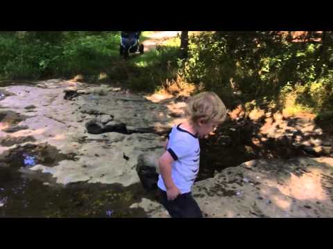 August 1, 2015: Mill Creek is down