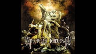 Anorexia Nervosa - The Shining