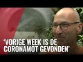 Nieuwe insecten gevonden in Amsterdam