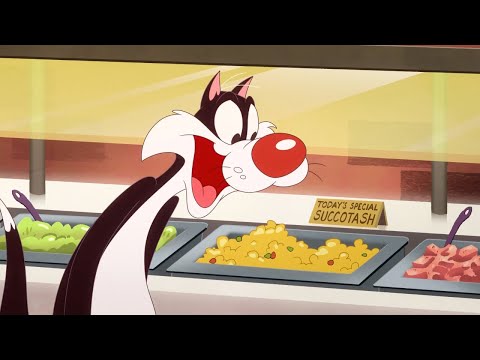 Tiny Toons Looniversity but only when Sylvester is onscreen (UPDATED)