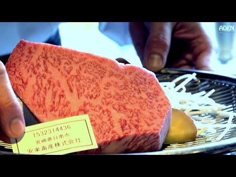 $102 Miyazaki Wagyu Beef Lunch - Gourmet Teppanyaki FUKUOKA JAPAN