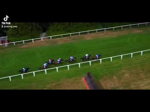 2018 Coral Eclipse - Roaring Lion